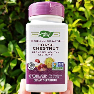 ฮอร์สเชสนัทสกัด Horse Chestnut, Standardized 90 Vegetarian Capsules (Natures way) ลดปัญหาเส้นเลือดขอดและเส้นเลือดฝอย