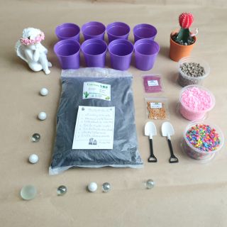 ชุดปลูก DIY Purple set 8 กระถาง