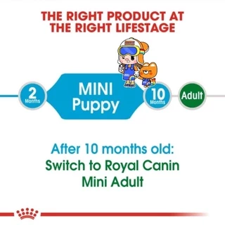 Royal Canin Mini Puppy 4kg โรยัลคานิน ลูกสุนัข พันธุ์เล็ก ถุงขนาด 4 กิโลกรัม