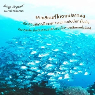 น้ำหมักปลาทะเล INSAY กระตุ้นดอก ช่วยการเจริญเติบโต ใช้บำรุงพืชผักทุกชนิด 250 มล.