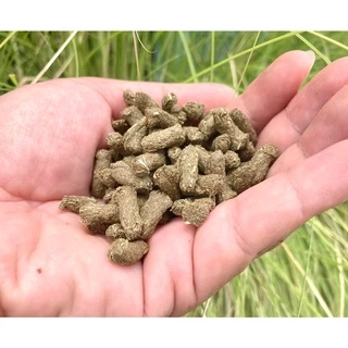 อาหารเต่าบก ไฟเบอร์สูง ลดกรดยูริก เสริมแคลเซียม Spirulina เต่าบกทุกสายพันธุ์ Proudnyfarm TORDES ขนาด 2.5 กิโลกรัม (ถัง)