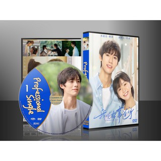 DVDซีรี่ย์จีน Professional Single โสดมืออาชีพ (เสียงจีน / ซับไทย) DVD 4 แผ่น