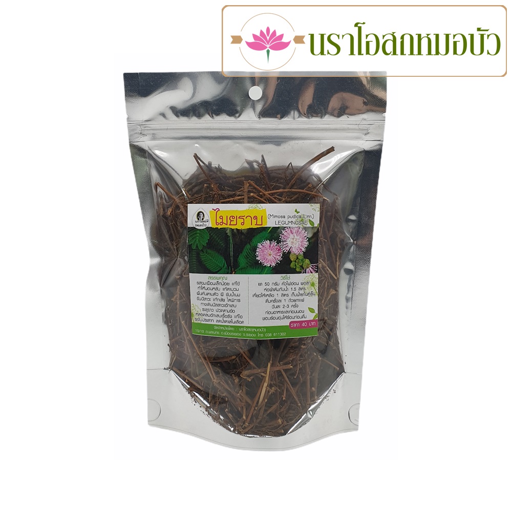 ไมยราบ (Mimosa pudica Linn.) Legumnosae 50 กรัม