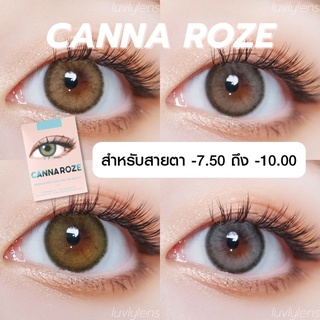 พร้อมส่ง Canna Roze - Idollens {-7.50 ถึง -10.00} พร้อมส่ง!! คอนแทคเลนส์เกาหลี คอนแทคเลนส์รายปี