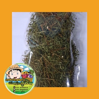 ลูกใต้ใบทั้ง5 อบแห้ง 50 กรัม(Organic 100%) ของใหม่