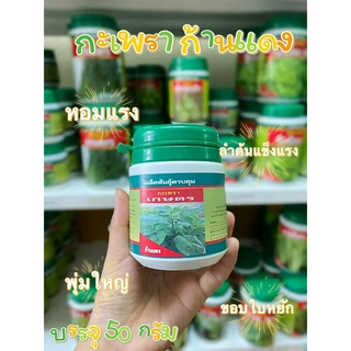 กะเพราเกษตร (ก้านแดง) 50g