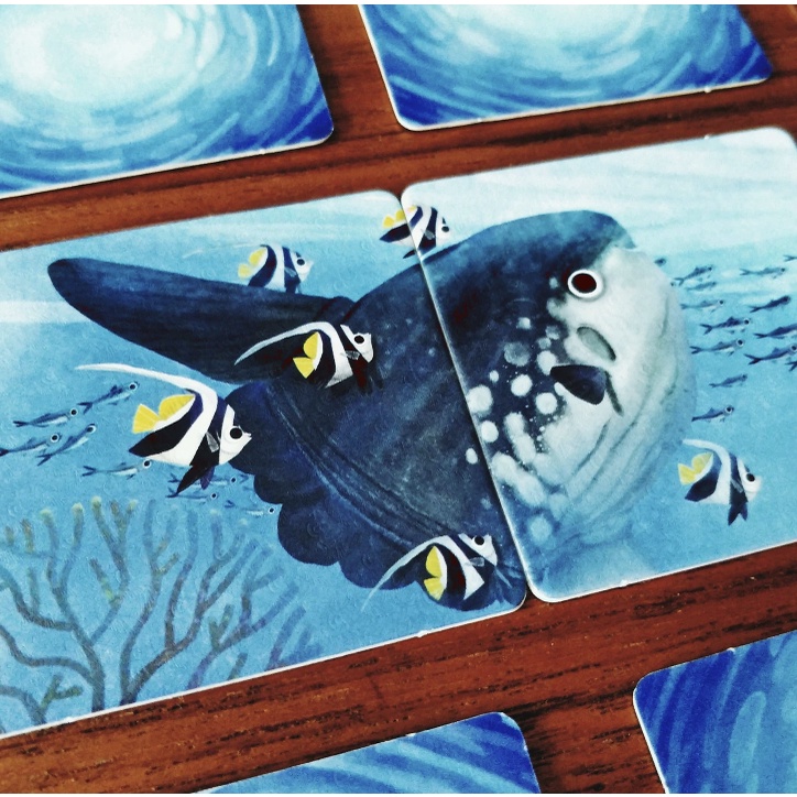 Reef Rescue - Board Game - บอร์ดเกม - ของแท้ - payakarun_boardgame ...