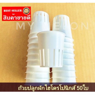 ถ้วยปลูกพืชผักขนาดใหญ่ไฮโดรโปนิกส์​ (สำหรับฟองน้ำ)​ 50ใบ​ ใช้ปลูกเมล่อน แตกโม แตงกวา