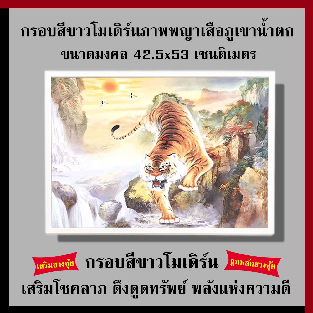 กรอบสีขาวโมเดิร์น ภาพพญาเสือภูเขาน้ำตก 42.5 x 53 cm. เสริมฮวงจุ้ย เสริมดวง กรอบรูปฮวงจุ้ย รูปภาพมงคล