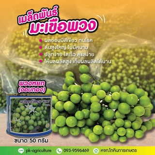 เมล็ดพันธุ์มะเขือพวง พวงหยก (งอบทอง) ขนาด 50 กรัม