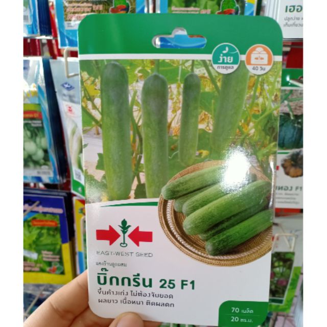 เมล็ดแตงร้าน บิ๊กกรีน25 ตราศรแดง 70 เมล็ด