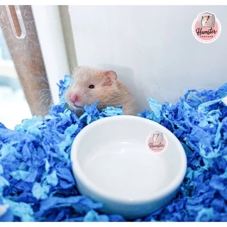 [Hamsterth] ชามอาหาร ถ้วย เซรามิค มี 6 สี สวยๆ ใส่อาหารสัตว์เลี้ยงขนาดเล็ก แฮมสเตอร์ เม่นแคระ