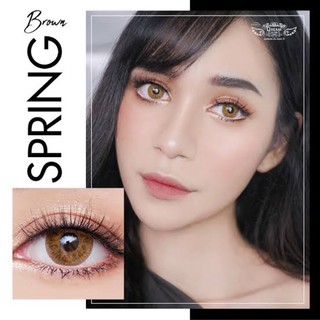 Spring brown พร้อมส่งค่าสายตา (dreamcolor1)