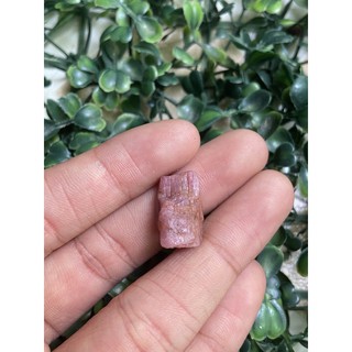 (A) พลอยดิบแท้ พิ้งค์ ทัวร์มาลีน(Pink Tourmaline)พลอยธรรมชาติ 100% น้ำหนัก 19.00 กะรัต