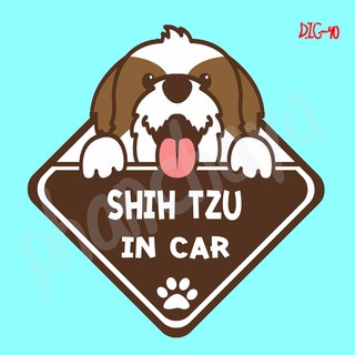 DIC40 สติ๊กเกอร์ ติดรถ Shih Tzu Dog In Car สติ๊กเกอร์ติดรถ แต่งรถ car sticker