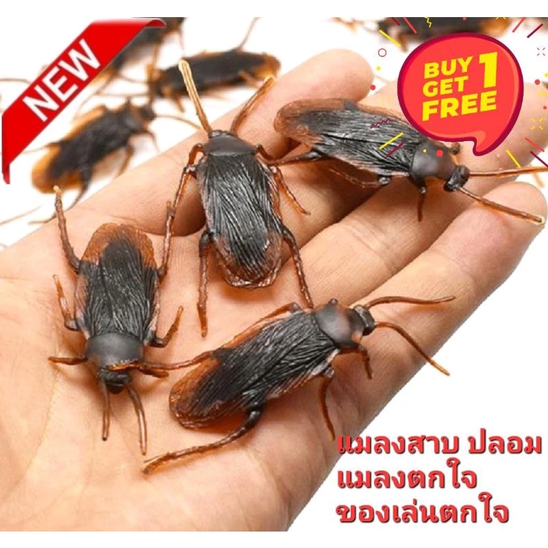 ออกใบกำกับภาษีได้ 1 free 1 แมลงสาบปลอม เหมือนมาก ของเล่นตกใจ ของเล่นปลอม แมลงตกใจ เอาไว้หลอกคนขวัญอ่อน ไม่เหมาะกับคนเป็น