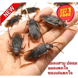 ออกใบกำกับภาษีได้ 1 free 1 แมลงสาบปลอม เหมือนมาก ของเล่นตกใจ ของเล่นปลอม แมลงตกใจ เอาไว้หลอกคนขวัญอ่อน ไม่เหมาะกับคนเป็น