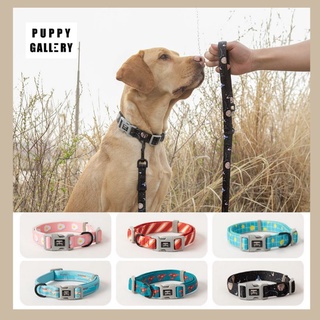 ปลอกคอสุนัข ปลอกคอแมว Puppy Gallery Line up Collar ปลอกคอนุ่ม ดีไซน์เกาหลี