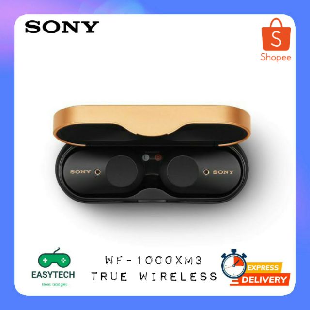 Sony หูฟังไร้สาย รุ่น WF-1000XM3 True Wireless - Black