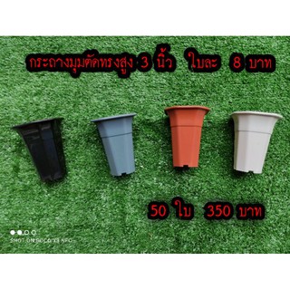 กระถาง 8 เหลี่ยมมุมตัดทรงสูงขาย 50 ใบ ขนาด 3 นิ้ว