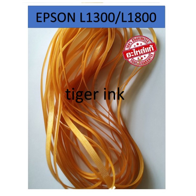 สายพานมอเตอร์ Epson L1300 / T1100 / R1390 / L1800 / R2000 สินค้าใหม่