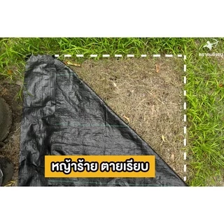 (ม้วน) พลาสติกคลุมดิน ผ้าคลุมดิน ผ้าคลุมหญ้า พลาสติกคลุมหญ้า ป้องกันวัชพืช น้ำซึมผ่านได้