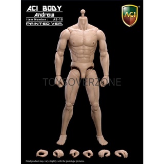 AB-1B 1/6 Muscular Body – Andrew (painted)