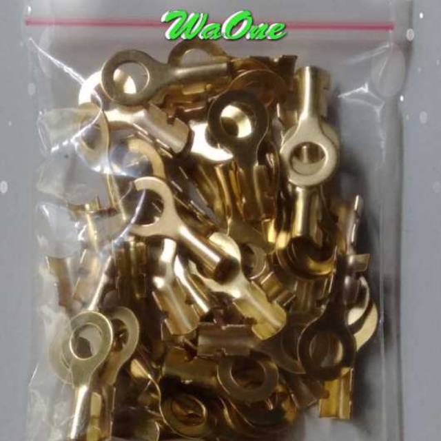 [เนื้อหา 50 ชิ้น] Skun Ring bolt 10 6mm M6 6 mm Terminal Cable