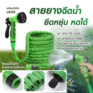 hajika🎈 MAGIC HOSE สายยางฉีดน้ำยืดได้ 3 เท่า ความยาวยืดสุด 10 เมตร ปรับหัวฉีดน้ำได้ 7 โหมด (คละสี)