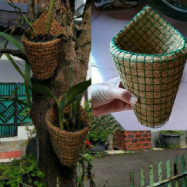 กระถางดอกไม้, กระถาง ORCHID, กระถางไฟเบอร์มะพร้าว, หม้อติดผนัง