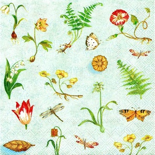 Pladao Napkin ภาพสวน Botanical Study สวนพฤกษศาสตร์ พื้นฟ้า กระดาษ แนพกิ้น สำหรับงานศิลปะ เดคูพาจ decoupage ขนาด L 33x33