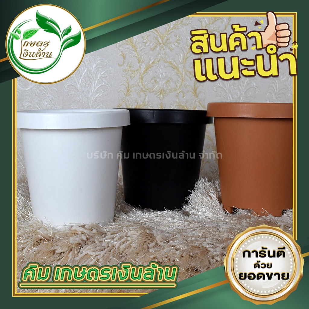 [แตกเคลมทันที]กระถาง6*6 พับขอบ งานไทย อย่างดี By.คิม เกษตรเงินล้าน POTM6B