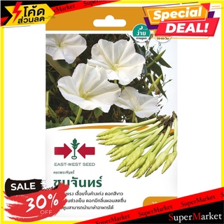 ดอกพระจันทร์ ชมจันทร์ ศรแดง เมล็ดพันธุ์ TROPICAL WHITE MORNING-GLORY SEED F1 SORNDAENG CHOMJAN ต้นไม้และเมล็ดพันธุ์