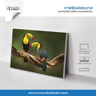 ภาพพิมพ์แคนวาสพรีเมี่ยม รูปธรรมชาติ สัตว์ นก ตกแต่งบ้าน ความละเอียดสูง 2400x2400dpi