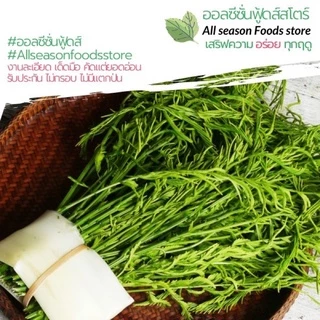 ชะอมอบแห้ง 20 กรัม - ออลซีซั่นฟู้ดส์ Allseasonfoods