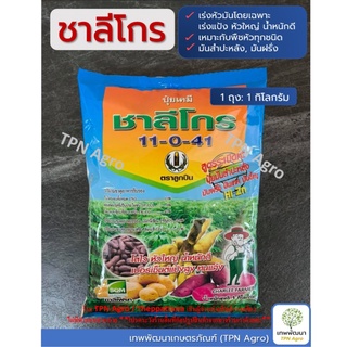 ชาลีโกร (11-0-41) 1 กิโลกรัม ปุ๋ยระเบิดหัวมันทุกชนิด พืชหัว หอมแดง หัวหอม ผักต่างๆ กะหล่ำ ตราลูกปืน