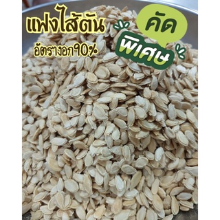 เมล็ดแฟง แฟงไส้ตัน ฝักแฟง เมล็ดพันธุ์เกรดA (ปลูกง่าย โตเร็ว ลูกใหญ่)