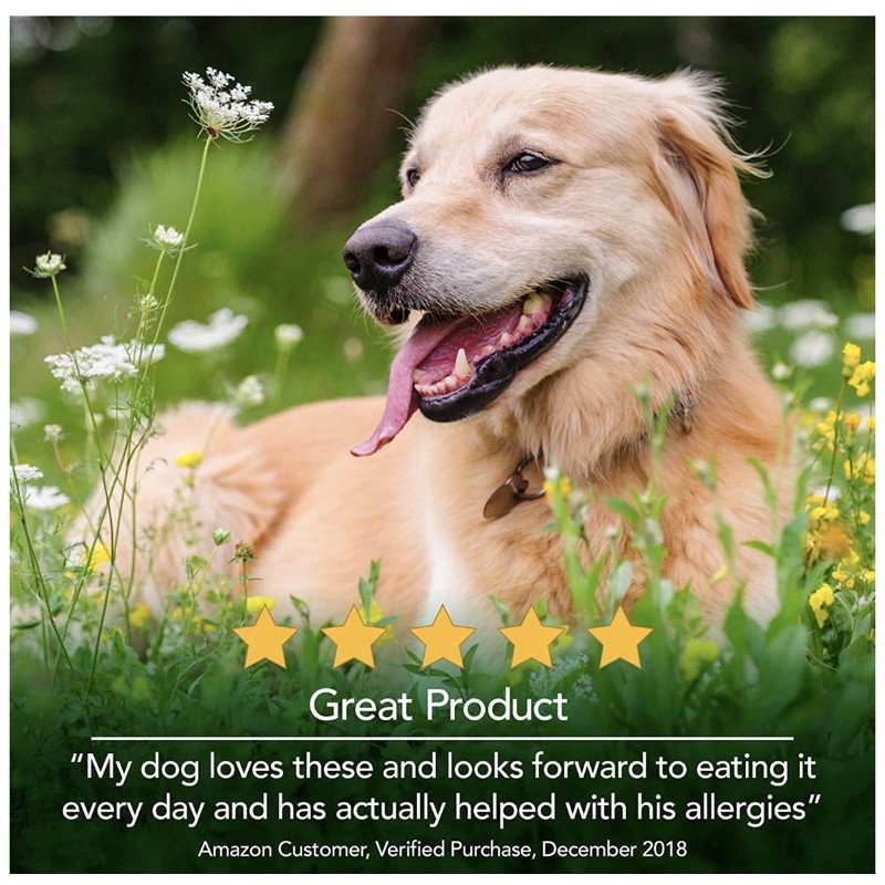 Vets Best Seasonal Allergy Vets Best ภูมิแพ้สุนัข ลดอาการแพ้ ลดคัน แพ้ ...