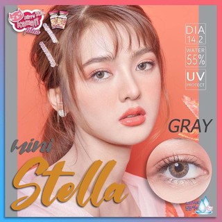 🔥 คอนแทคเลนส์ ✨ขนาดมินิ ✨Gray✨Mini stella