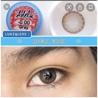 🦄🌈Luxzylens Adela gray / brown ลักซ์ซี่เลนส์ รายเดือน ใส่นุ่ม น่ารักมากก
