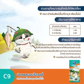 วิฟ (อาหารสำหรับแมว) : C9 ปลาแซลมอนในเจลลี่