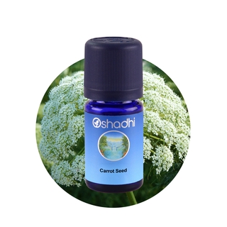 Oshadhi Carrot Seed Essential Oil น้ำมันหอมระเหย (10 ml)