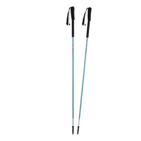 gipron ski pole