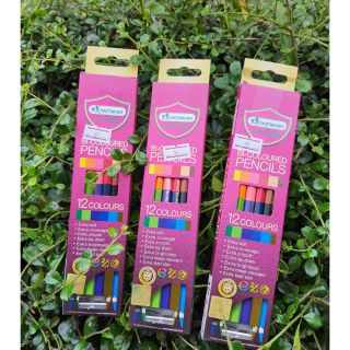 💥สีมาสเตอร์อาร์ต รุ่น 2 หัว Bi-Coloured Pencils premium grade💥