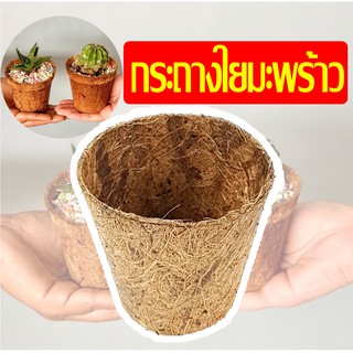 กระถางใยมะพร้าว รักษ์โลก กระถางต้นไม้ กระถางกระบองเพชร กระถางแคคตัส 10ฟรี1 coir