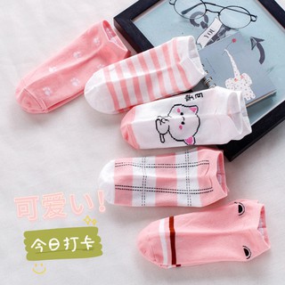 🧦สินค้าพร้อมส่ง🧦 ถุงเท้า แบบสั้น ลายแมว น้องแมว🐾🐈 น่ารักๆ ถุงเท้าข้อสั้น ถุงเท้าแฟชั่น ใส่สบาย ผ้านิ่ม ไม่ย้วย