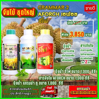 🔥🔥 ส่งฟรี 🔥🔥 แกรมม่าทู (1000 ซีซี ) ปุ๋ยน้ำแกรมม่าทู+ซีโฟ ปุ๋ยน้ำซีโฟ (1000 ซีซี )+เอฟอช Aforch (1000 ซีซี ) สารจับใบ