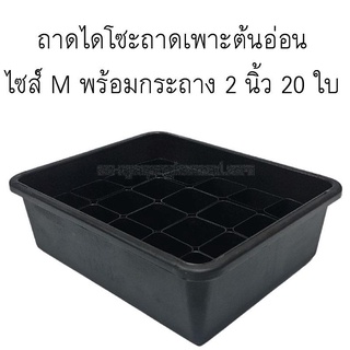 ถาดไดโซะ ถาดเพาะต้นอ่อน M