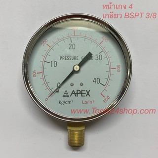 APEX เกจวัดความดัน 4"x3/8" ( 0-600Lb/in / 0-40Kg/cm )