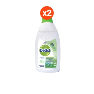 [ลด100.-ใส่DETTMAT2] Dettol เดทตอล ลอนดรี แซนิไทเซอร์ 750 มล. (2ขวด)